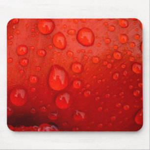 Close-up of raindrops on tulip petal mouse mat
