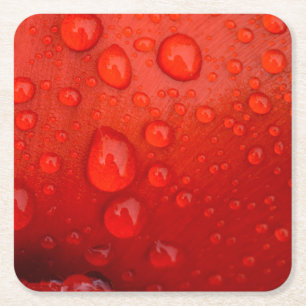 Close-up of raindrops on tulip petal square paper coaster