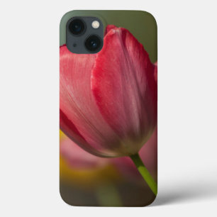 Close-up of red and yellow tulips in garden iPhone 13 case