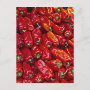 Close up of red peppers postcard