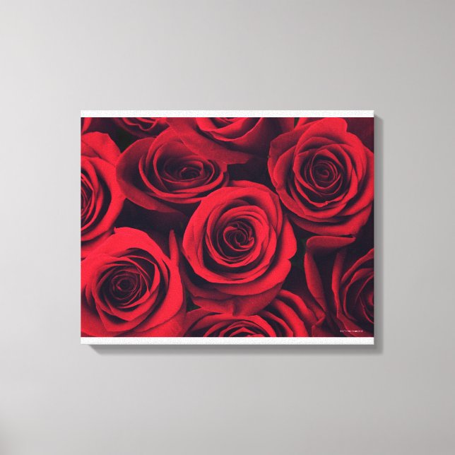 Close up of red rose flowers. canvas print (Front)