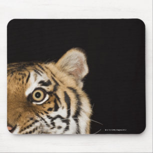 Close up of roaring tiger's face mouse mat