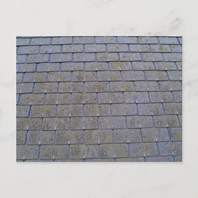 Close-Up Of Roof Tiles With Lichens Postcard (Front)