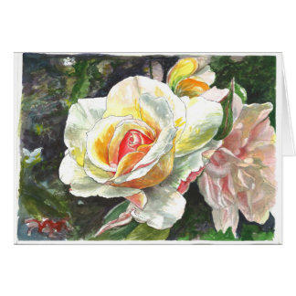 Close-up of Roses