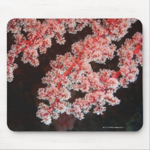 Close-up of Sea Fan underwater, North Sulawesi Mouse Mat