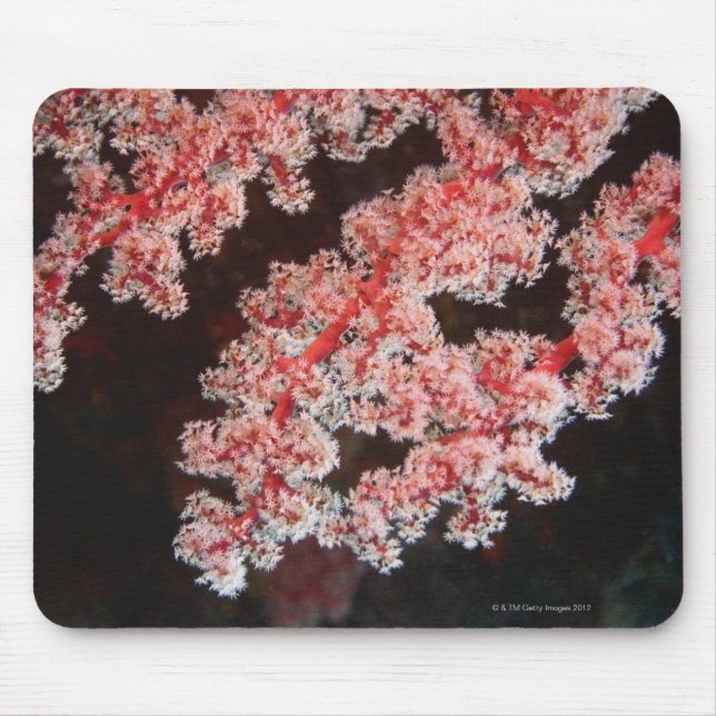 Close-up of Sea Fan underwater, North Sulawesi Mouse Mat (Front)