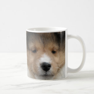 Close up of Shetland sheepdog puppy face on mug