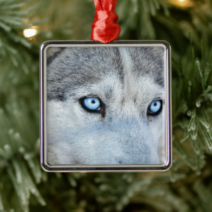 Close up of Siberian Husky with Blue Eyes Metal Tree Decoration