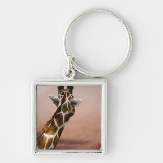 Close-up of Somali giraffe (Giraffa Key Ring (Front)