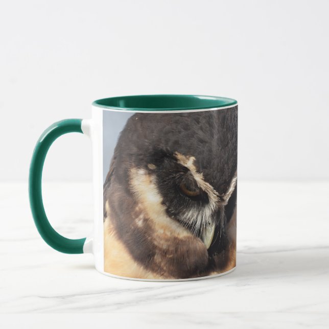 Close up of Spectacled Owl looking down angry Mug (Left)