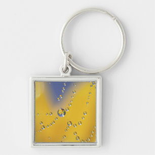Close-up of spider web with dew drops key ring