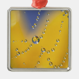 Close-up of spider web with dew drops metal tree decoration