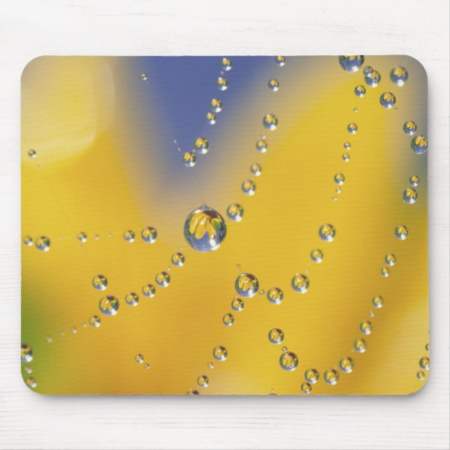 Close-up of spider web with dew drops mouse mat (Front)