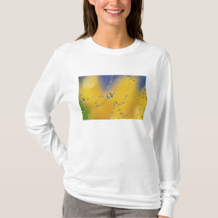 Close-up of spider web with dew drops T-Shirt