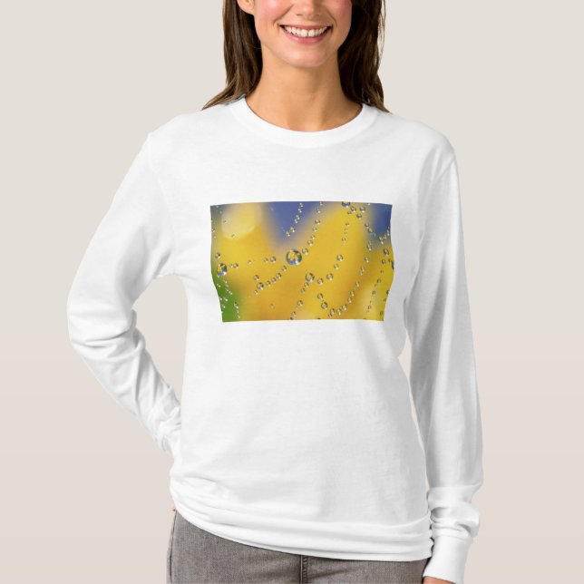 Close-up of spider web with dew drops T-Shirt (Front)