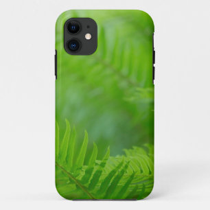 Close-up of sword fern iPhone 11 case