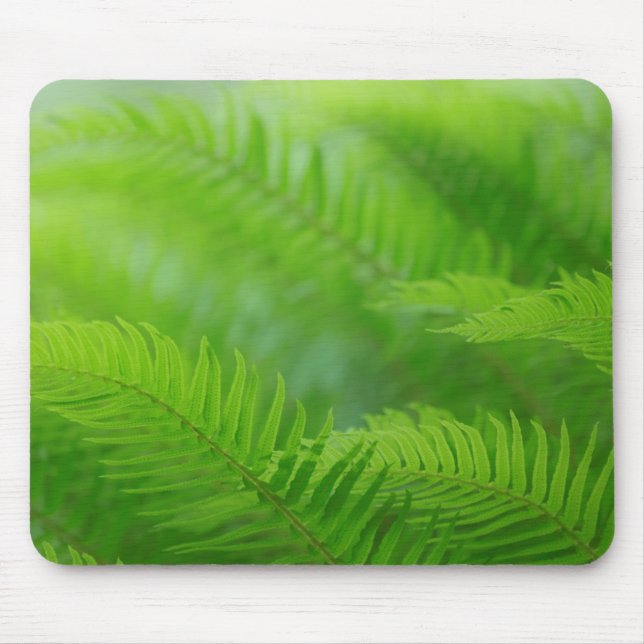 Close-up of sword fern mouse mat (Front)
