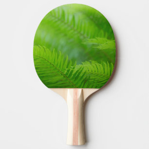 Close-up of sword fern ping pong paddle