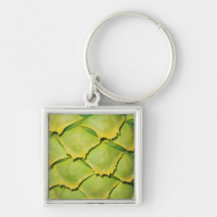 Close-up of texture and pattern of tropical tree key ring