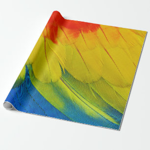 CLOSE UP OF THE AMAZINGLY COLORFUL FEATHERS OF A S WRAPPING PAPER