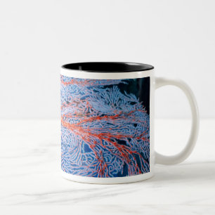 Close up of the coral, Okinawa, Japan Two-Tone Coffee Mug