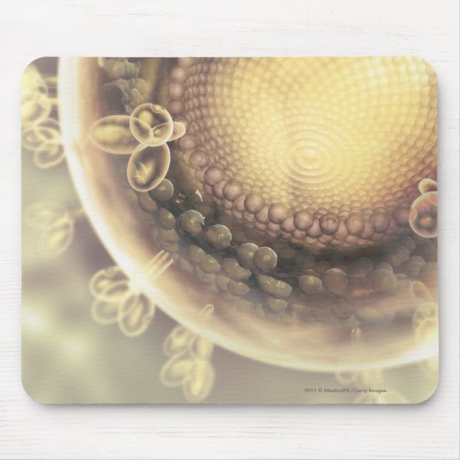 Close up of the structure of an HIV cell Mouse Mat (Front)