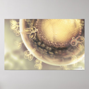 Close up of the structure of an HIV cell Poster