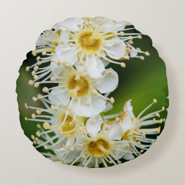 Close-up of tiny flowers round cushion (Front)