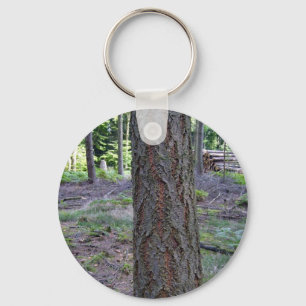 Close up of Tree Trunk in forest Key Ring