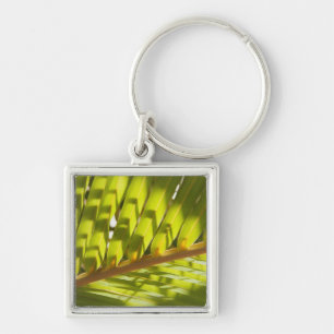 Close up of tropical palm frond key ring