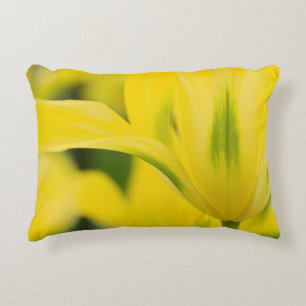 Close-up of tulip 2 decorative cushion