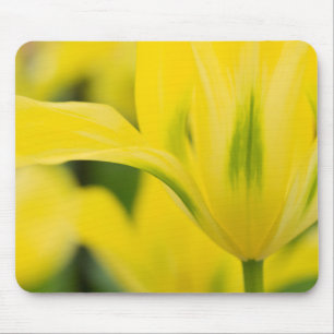 Close-up of tulip 2 mouse mat
