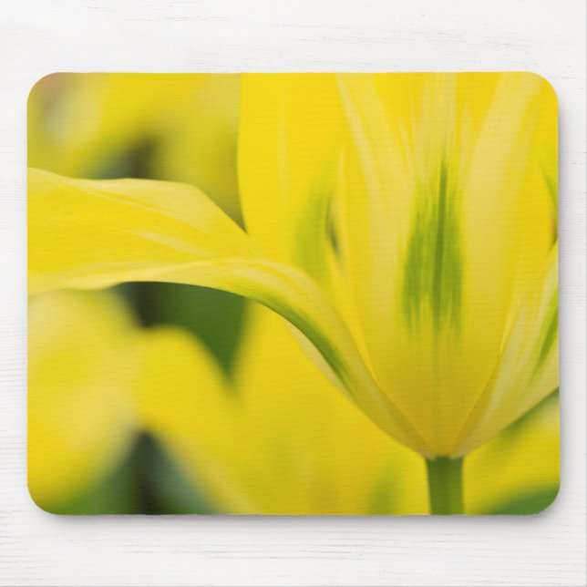 Close-up of tulip 2 mouse mat (Front)