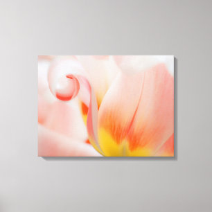 Close-up of tulip 3 canvas print