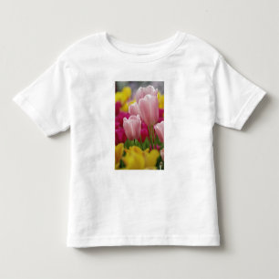 Close-up of tulip flower, Kuekenhof Gardens, Toddler T-Shirt