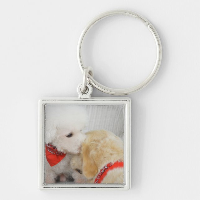 Close-up of two dogs key ring (Front)