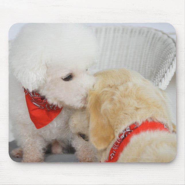 Close-up of two dogs mouse mat (Front)