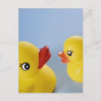 Close-up of two rubber ducks postcard