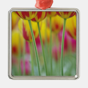 Close-up of underside of tulip flower, 3 metal tree decoration