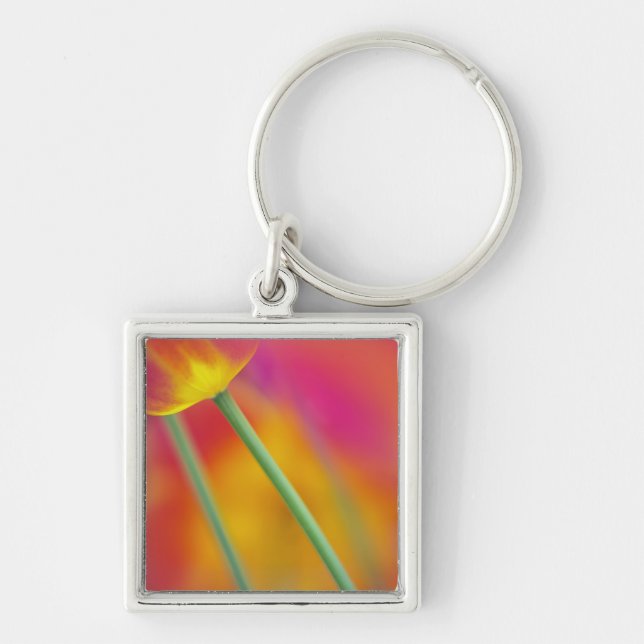 Close-up of underside of tulip flower, key ring (Front)