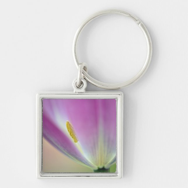 Close-up of underside of tulip flower, Kuekenhof 3 Key Ring (Front)