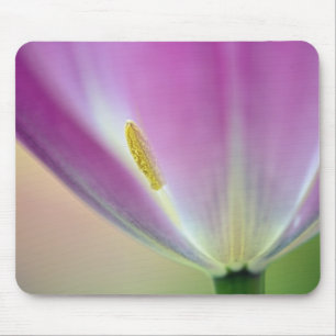 Close-up of underside of tulip flower, Kuekenhof 3 Mouse Mat