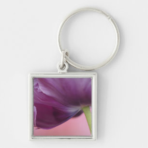 Close-up of underside of tulip flower, Kuekenhof Key Ring