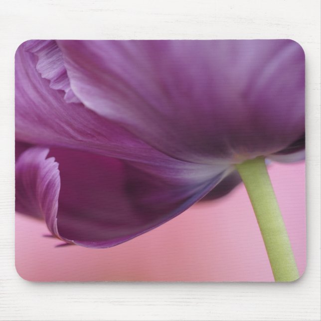 Close-up of underside of tulip flower, Kuekenhof Mouse Mat (Front)