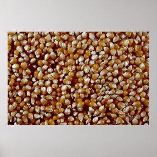 Close-up of unpopped popcorn kernels texture poster