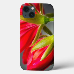 Close-up of vining geranium from back of flower iPhone 13 case