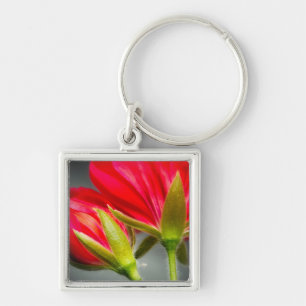 Close-up of vining geranium from back of flower key ring