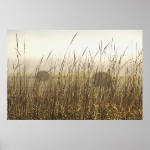 Close up of Wheat Photography Poster