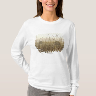 Close up of Wheat Photography T-Shirt