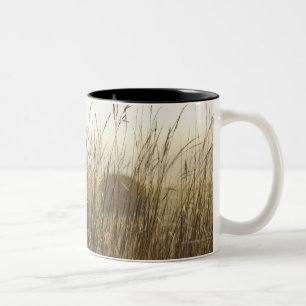 Close up of Wheat Photography Two-Tone Coffee Mug